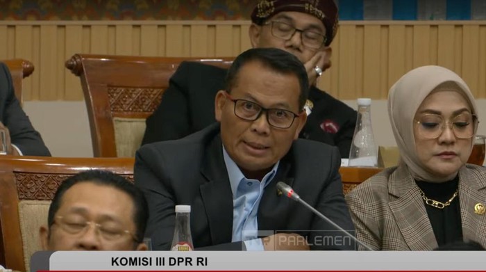 Anggota Komisi III DPR Fraksi PAN Endang Agustina. (Tangkapan layar YouTube DPR RI)